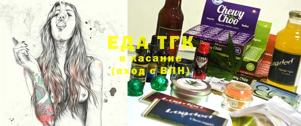 СК Зерноград