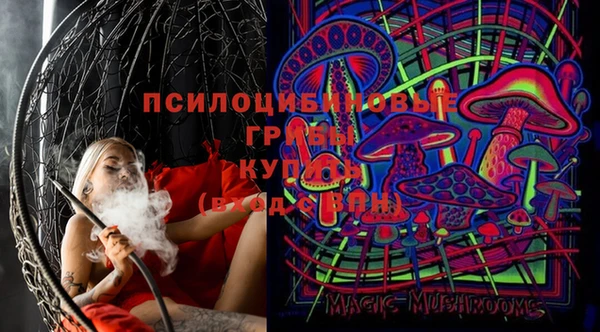 ГАЛЛЮЦИНОГЕННЫЕ ГРИБЫ Заволжье