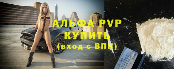 СК Зерноград